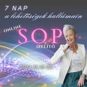 7 nap a lehetőségek hullámain - SOP