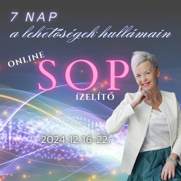 7 nap a lehetőségek hullámain - SOP